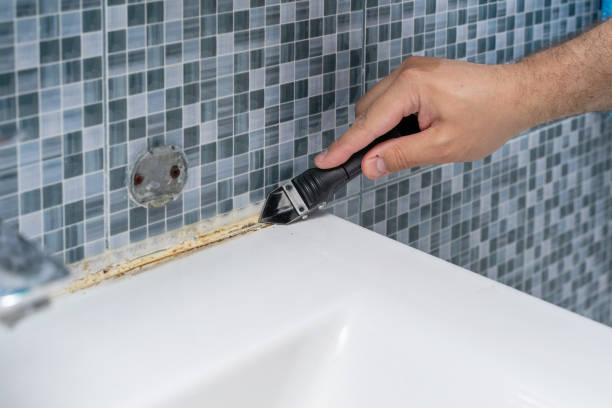Best Emergency Mold Remediation in Juarez, TX