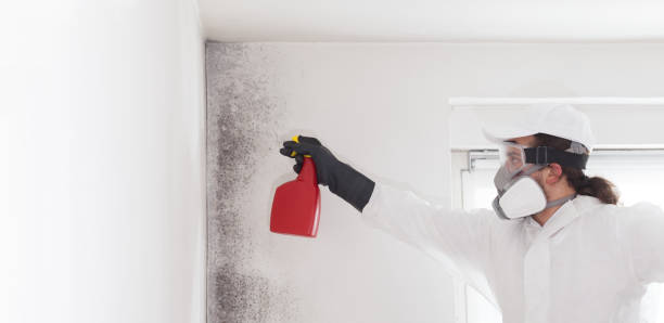 Best Crawl Space Mold Remediation in Juarez, TX