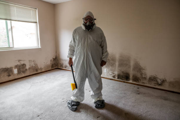 Best Mold Remediation for Specific Building Types in Juarez, TX